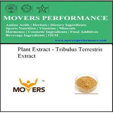 Extracto de Planta Natural Orgánica - Extracto de Tribulus Terrestris